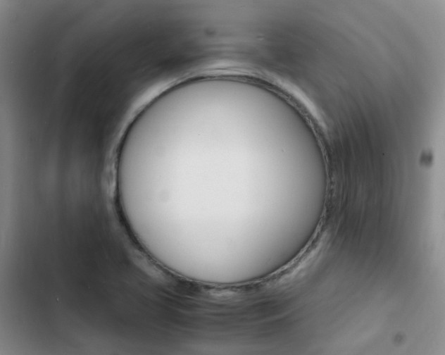 X0000103251413200808281046