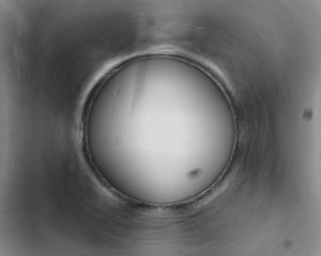 X0000103251414200808281046