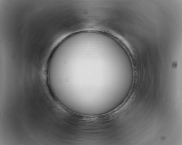 X0000103251415200808281046