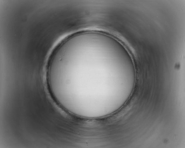 X0000103251416200808281046