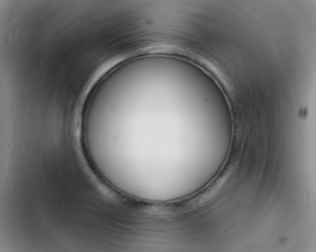 X0000103251418200808281046