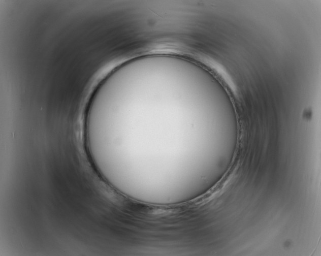 X0000103251419200808281046