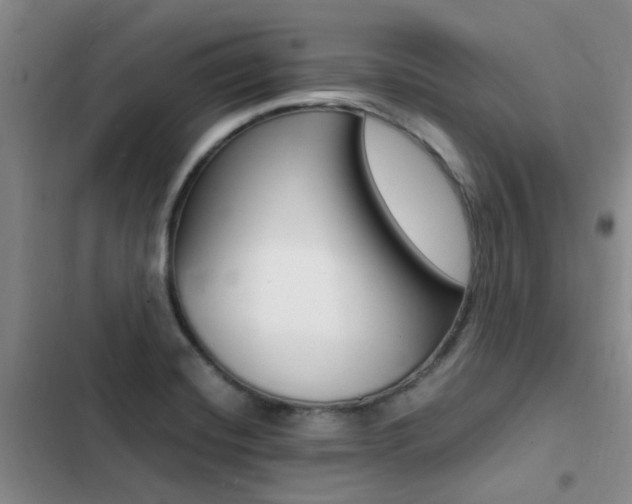 X0000103251420200808281046