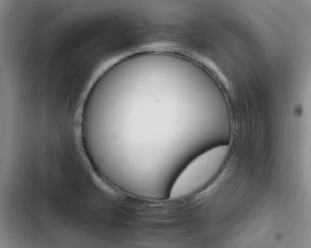 X0000103251421200808281046