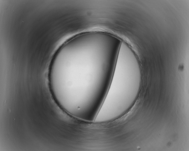 X0000103251422200808281046