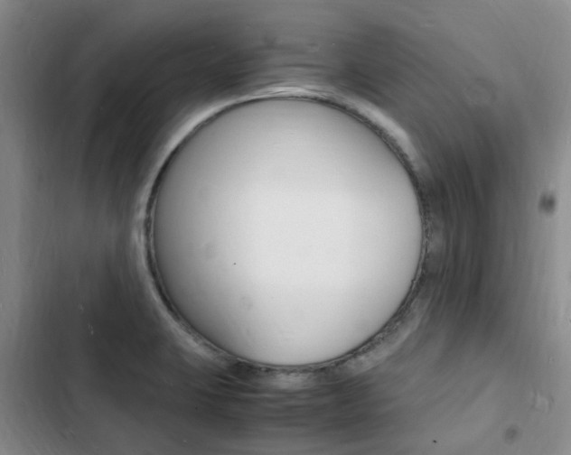 X0000103251423200808281046