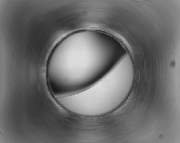 X0000103251424200808281046