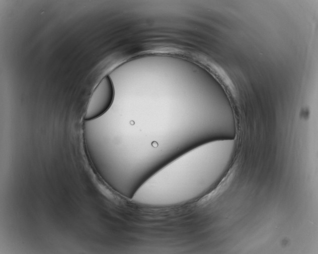 X0000103251425200808281046