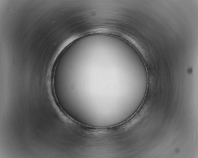 X0000103251426200808281046