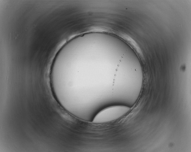 X0000103251427200808281046