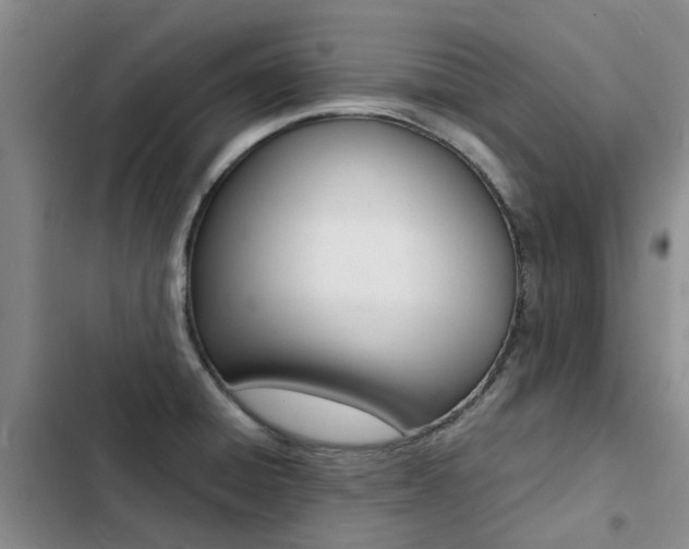 X0000103251428200808281046