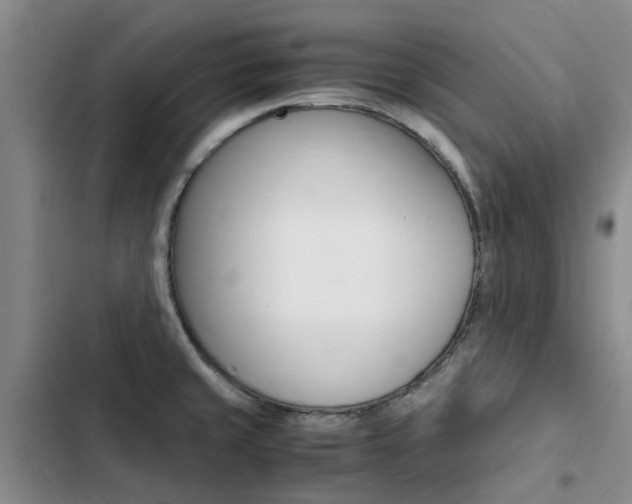 X0000103251429200808281046