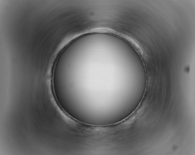 X0000103251430200808281046