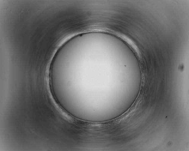 X0000103251431200808281046