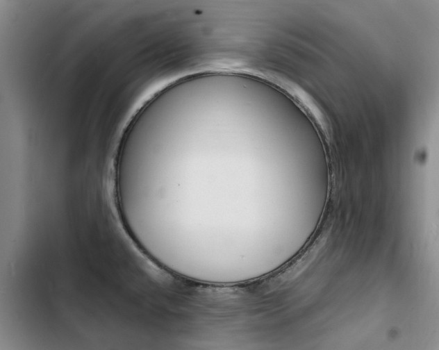 X0000103251432200808281046