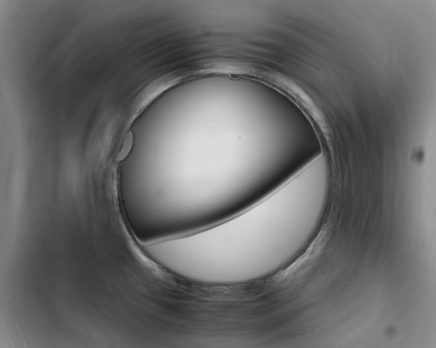 X0000103251433200808281046