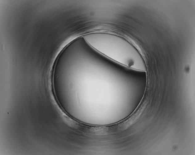 X0000103251434200808281046