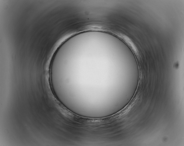 X0000103251435200808281046