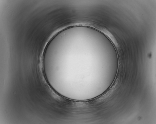 X0000103251436200808281046