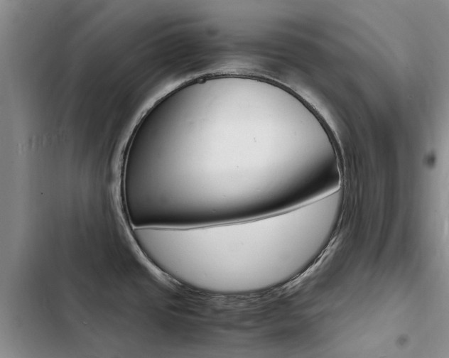 X0000103251437200808281046