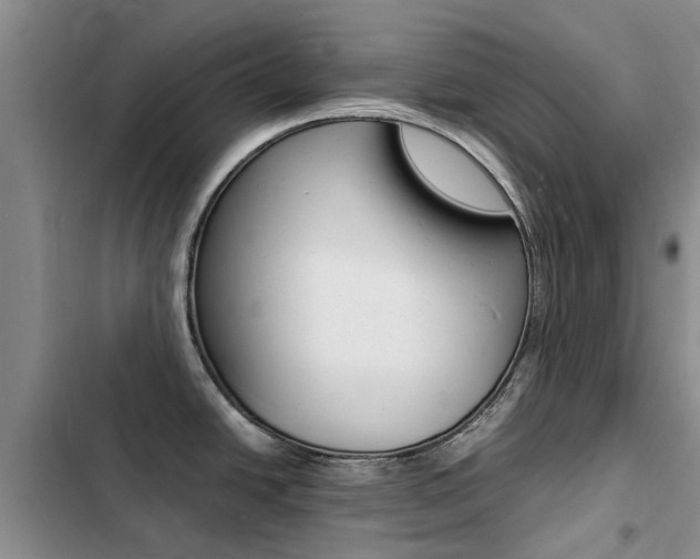 X0000103251438200808281046