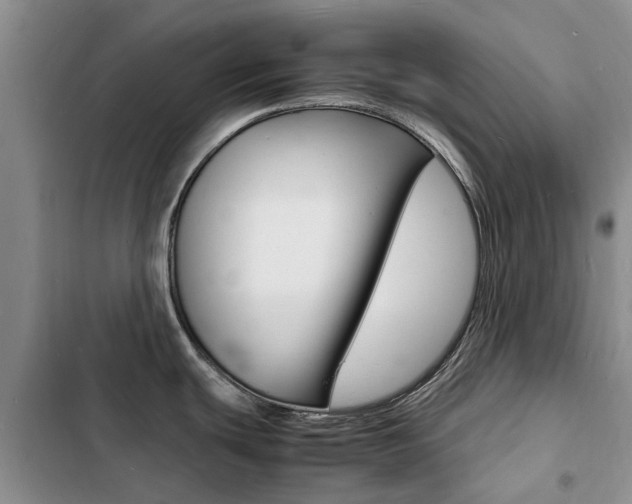 X0000103251439200808281046