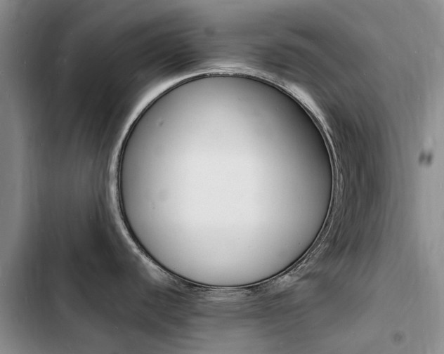 X0000103251440200808281046