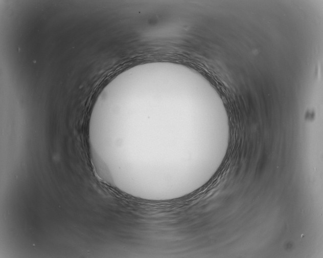 X0000103251441200808281046