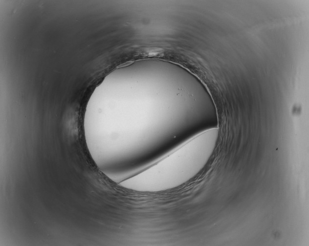 X0000103251442200808281046