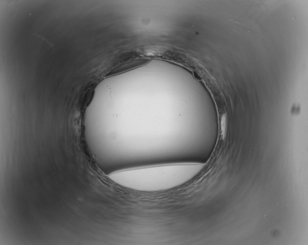 X0000103251443200808281046