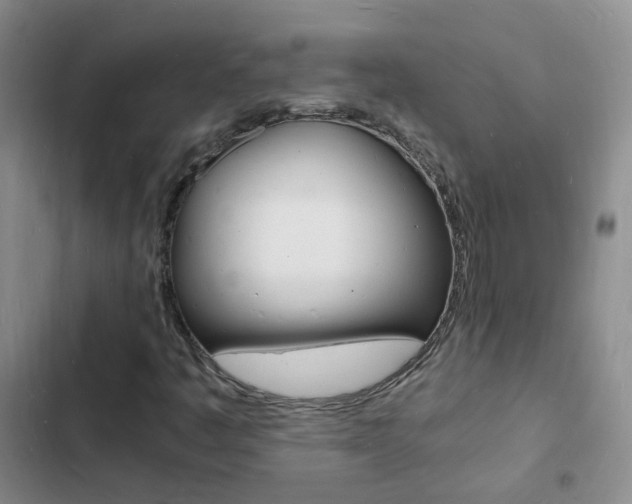 X0000103251445200808281045