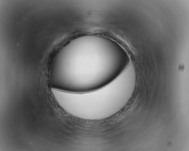 X0000103251447200808281045