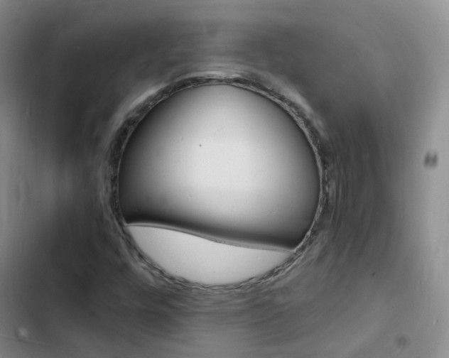 X0000103251448200808281045