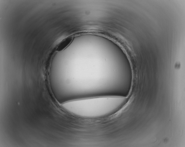 X0000103251449200808281045