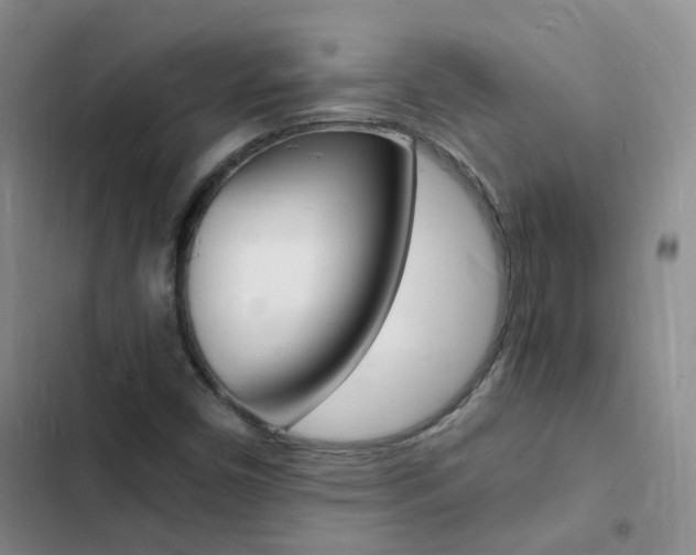 X0000103251450200808281045