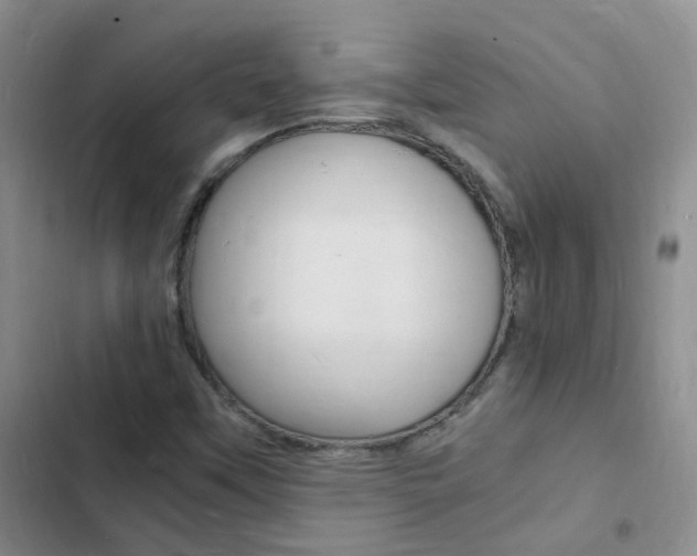 X0000103251451200808281045
