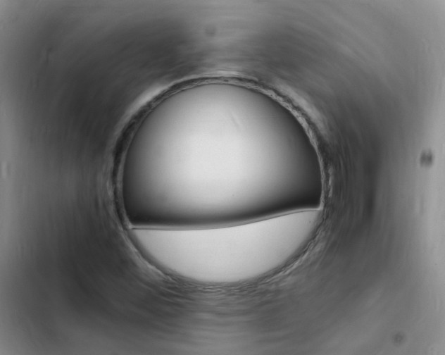 X0000103251452200808281045
