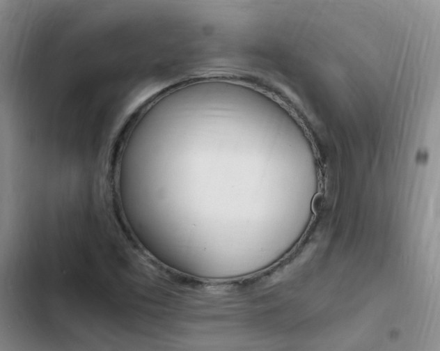 X0000103251453200808281045