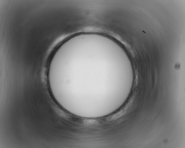 X0000103251454200808281045