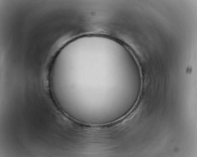 X0000103251455200808281045