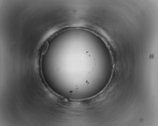 X0000103251456200808281045