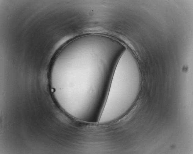 X0000103251458200808281045