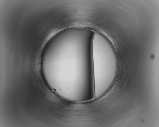 X0000103251459200808281045