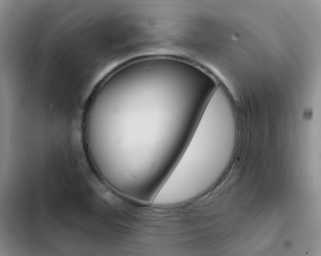 X0000103251460200808281045