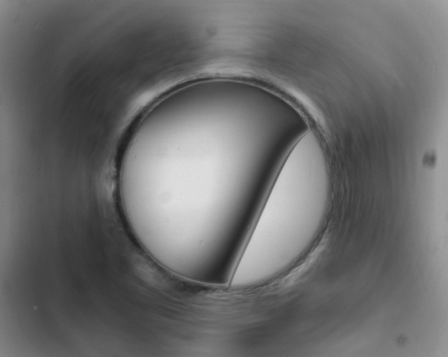 X0000103251461200808281045