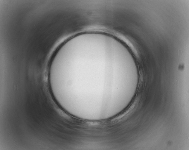 X0000103251462200808281045