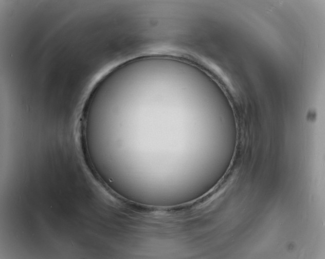 X0000103251463200808281045