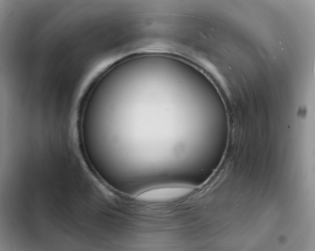 X0000103251464200808281045