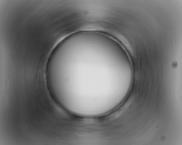X0000103251465200808281045