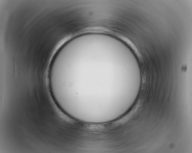 X0000103251466200808281045